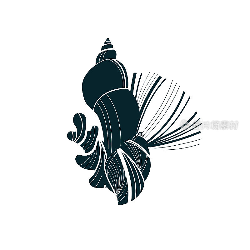 Icon with a seashell and seaweed. A graphic symbol with a snail shell. Nautical sketch with linear texture. Black and white label with a conch.